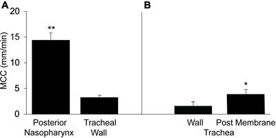 Regional Differences in Mucociliary Clearance in the Upper and Lower Airways